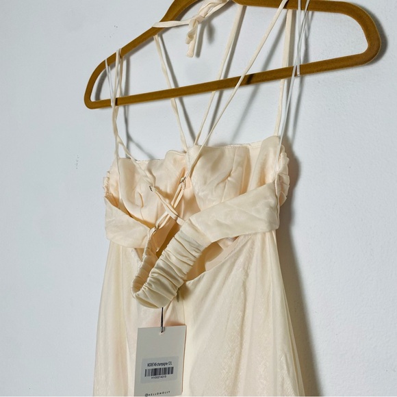 NWT Hello Molly Champagne Backless Maxi Dress US6 - Picture 7 of 14
